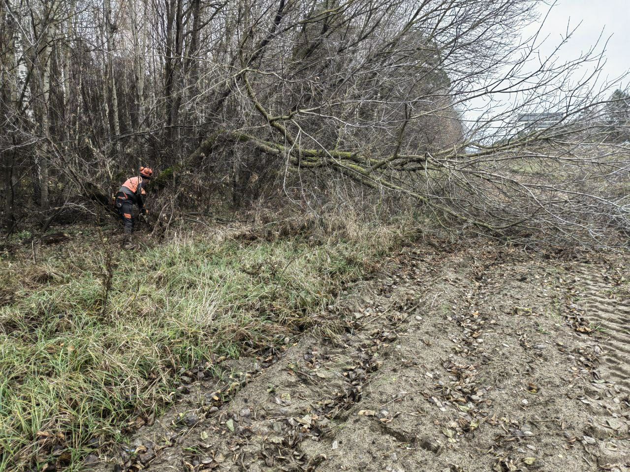 photo 2025 11 04 11 03 42