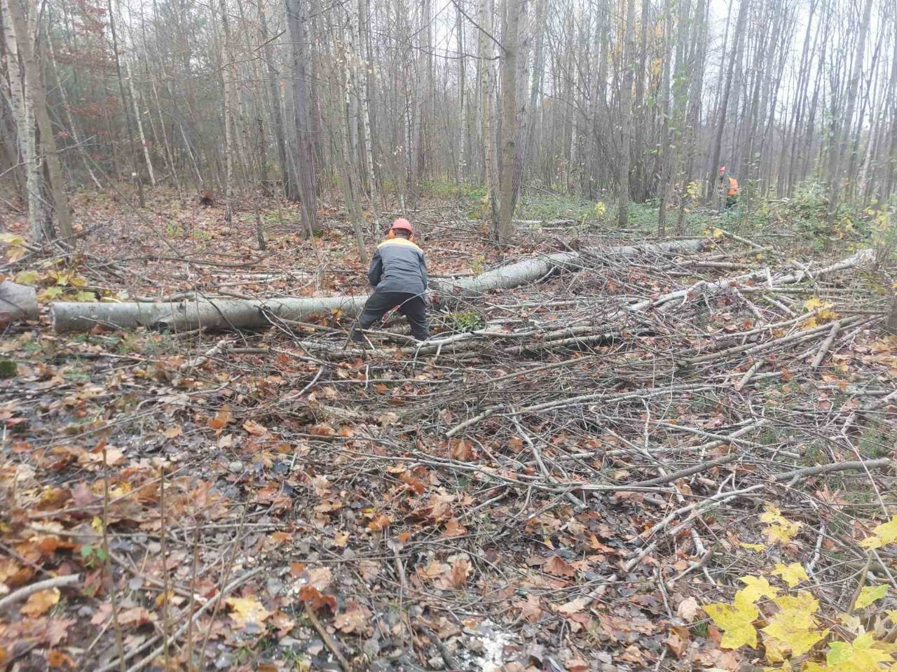 photo 2025 11 04 11 04 00