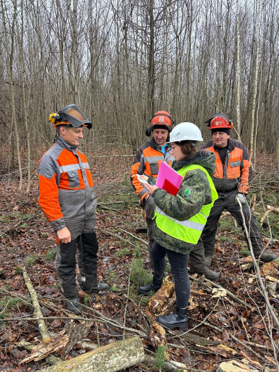 photo 2025 11 13 18 38 49