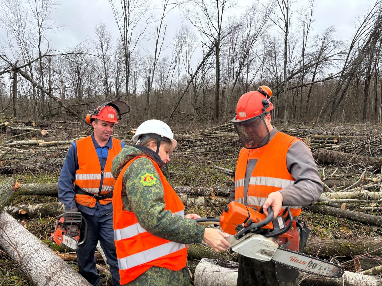 photo 2025 11 13 18 39 00