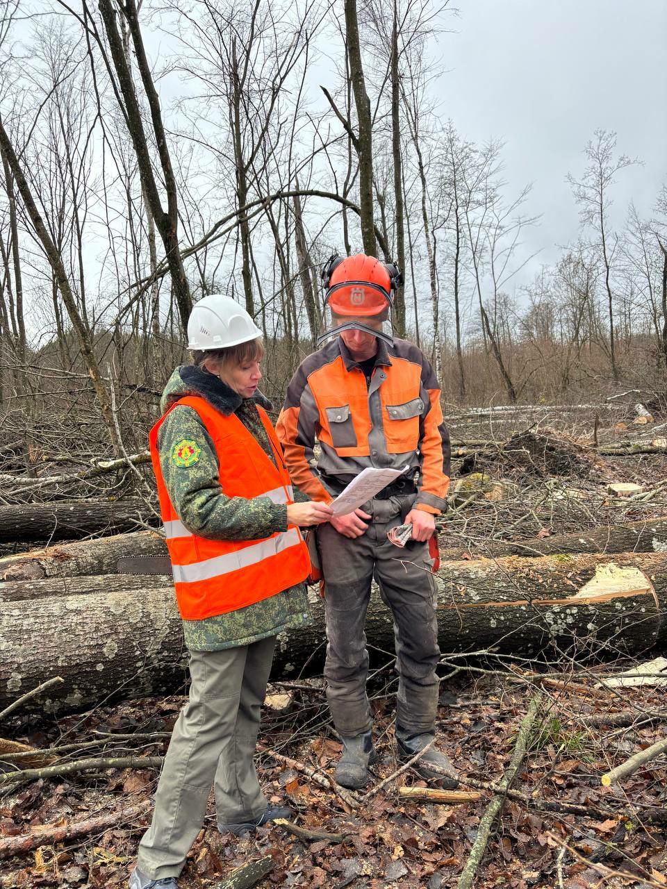 photo 2025 11 13 18 39 03