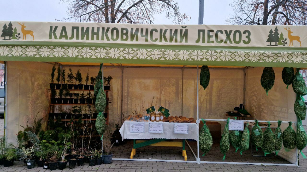 photo 2025 11 18 09 28 57