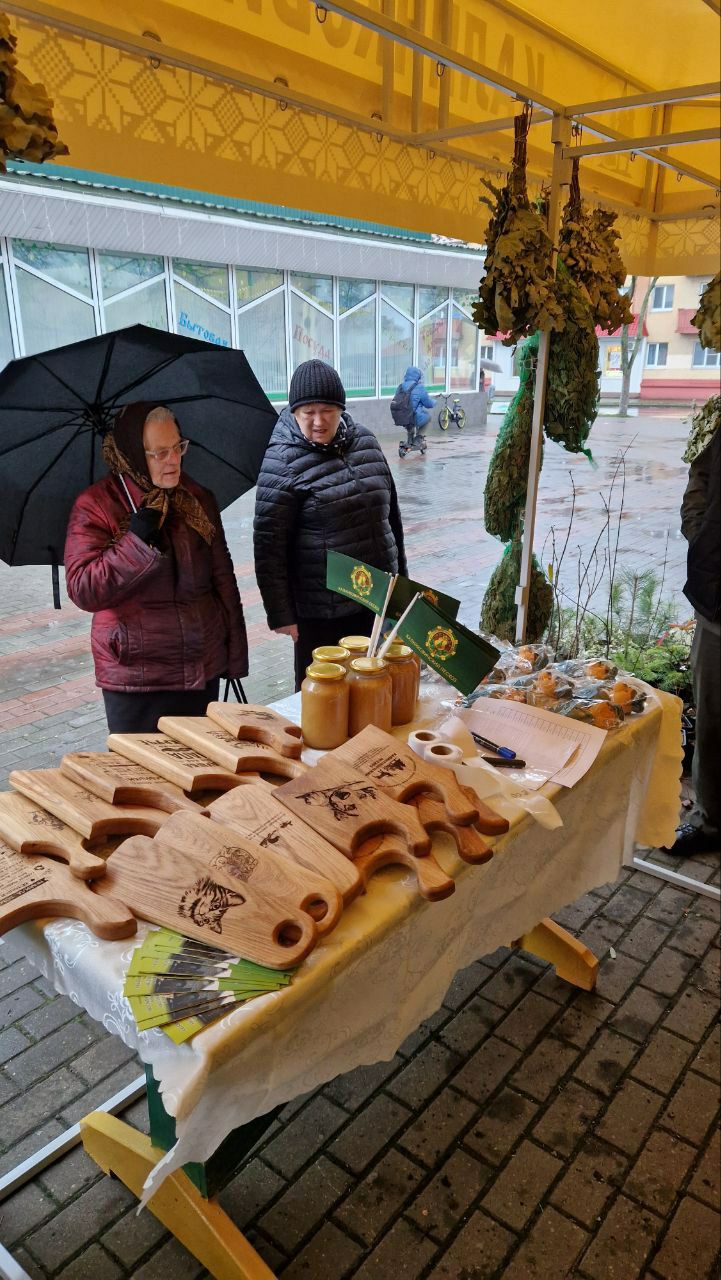 photo 2025 11 18 09 29 36