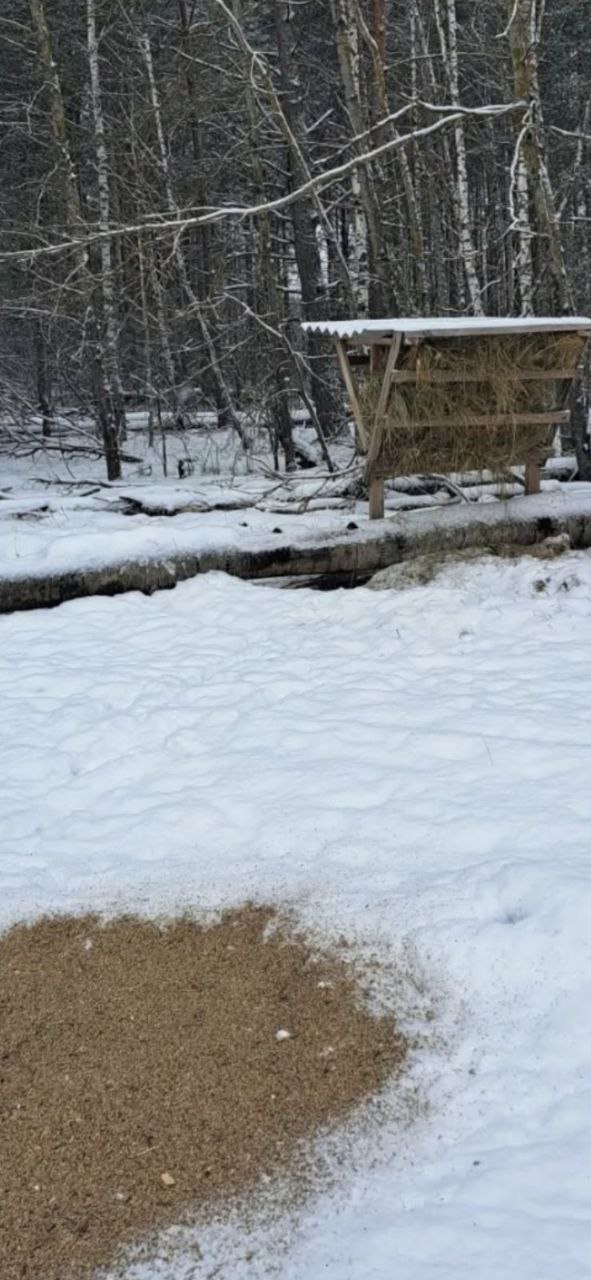 photo 2026 01 08 13 51 41