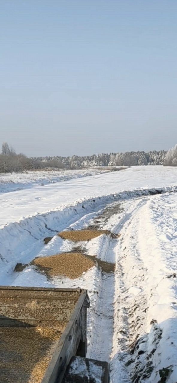 photo 2026 01 20 09 47 29