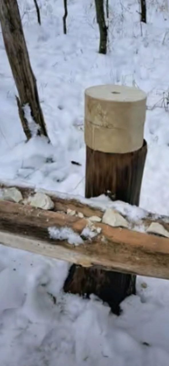 photo 2026 01 20 09 47 41