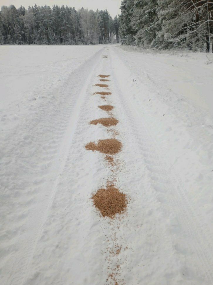 photo 2026 01 20 09 47 49