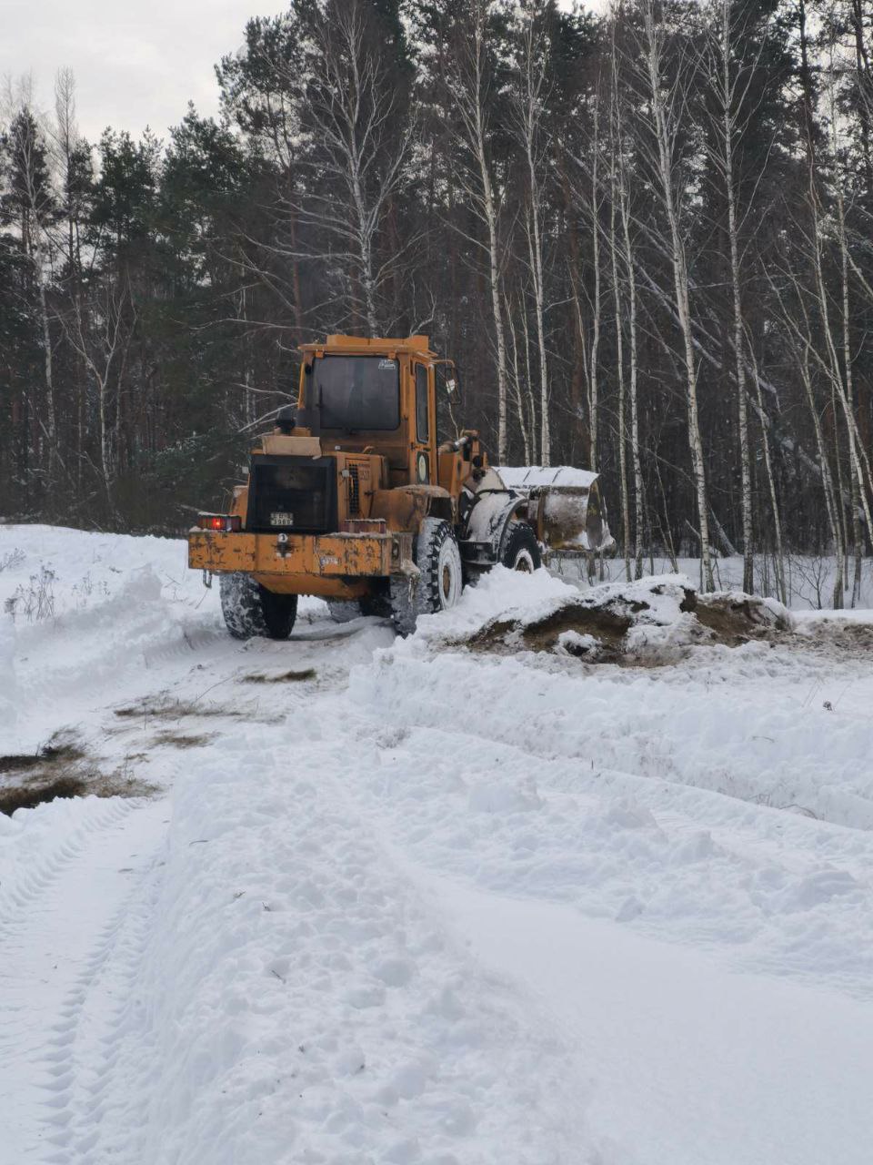 photo 2026 01 20 09 47 52