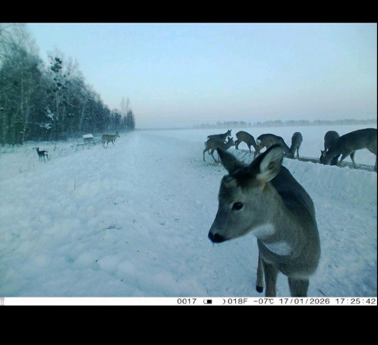 photo 2026 01 20 09 47 58