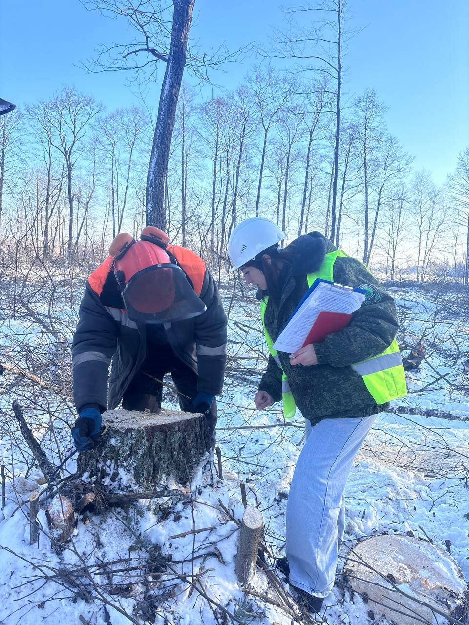 photo 2026 01 23 07 52 44