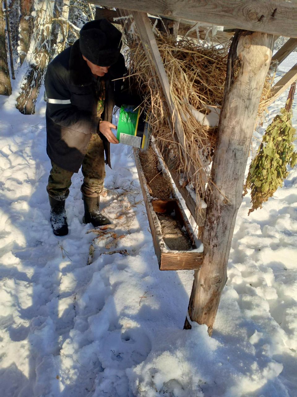 photo 2026 02 02 09 53 40