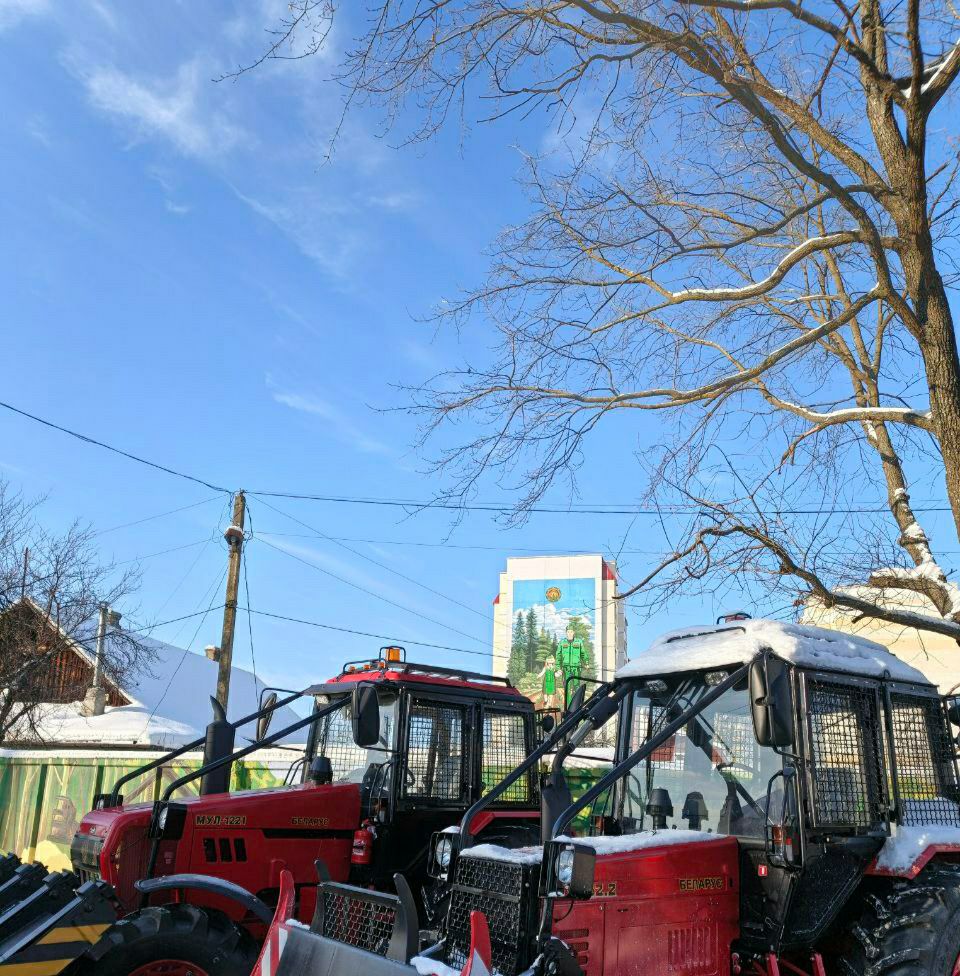 photo 2026 02 05 08 20 31