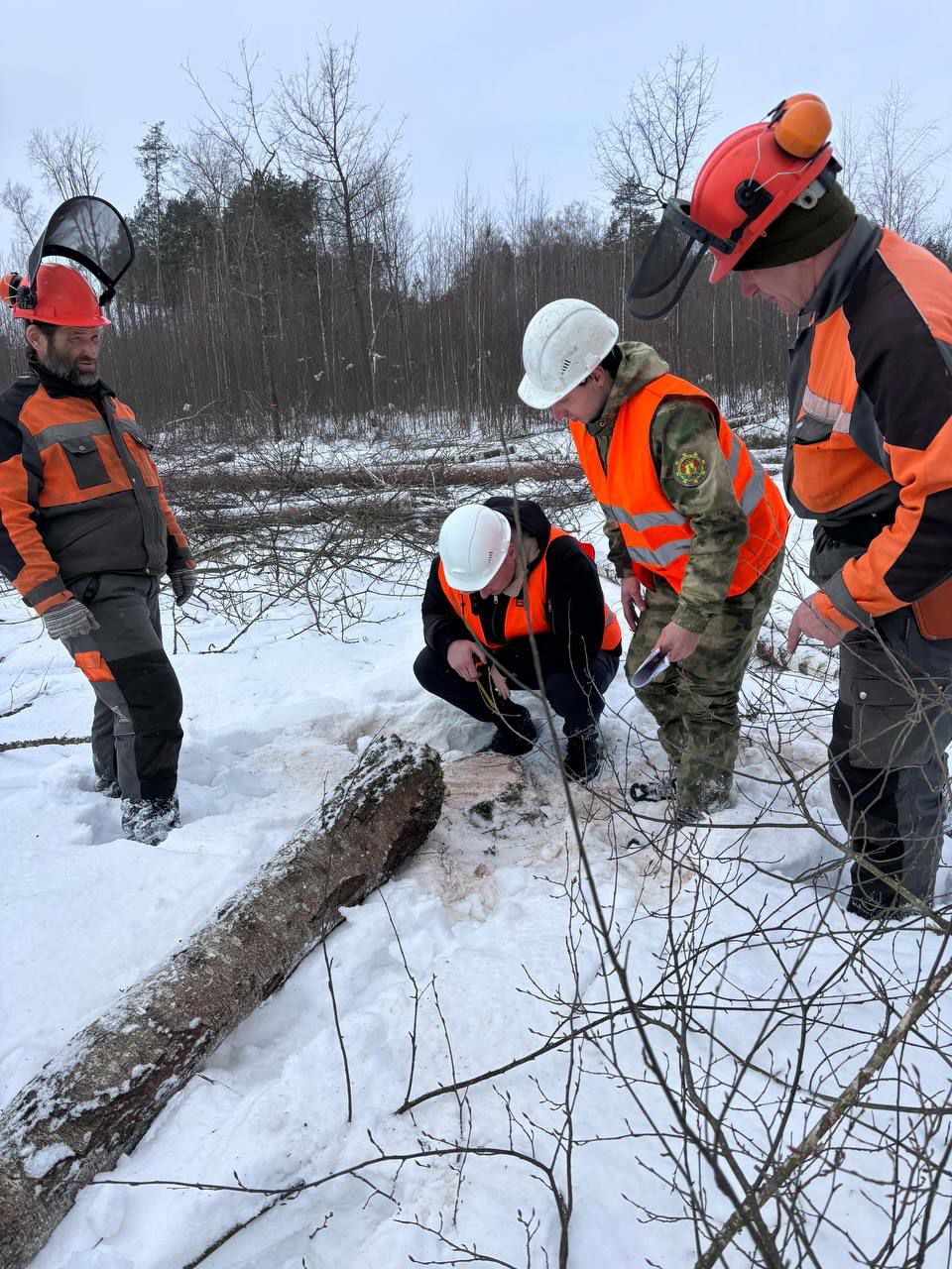 photo 2026 02 12 12 25 15