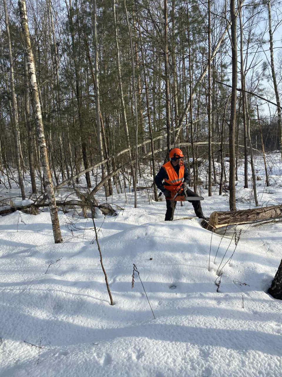 photo 2026 03 02 08 32 16