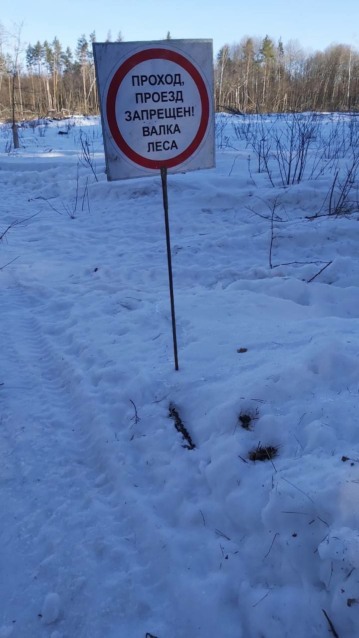 photo 2026 03 06 16 18 49