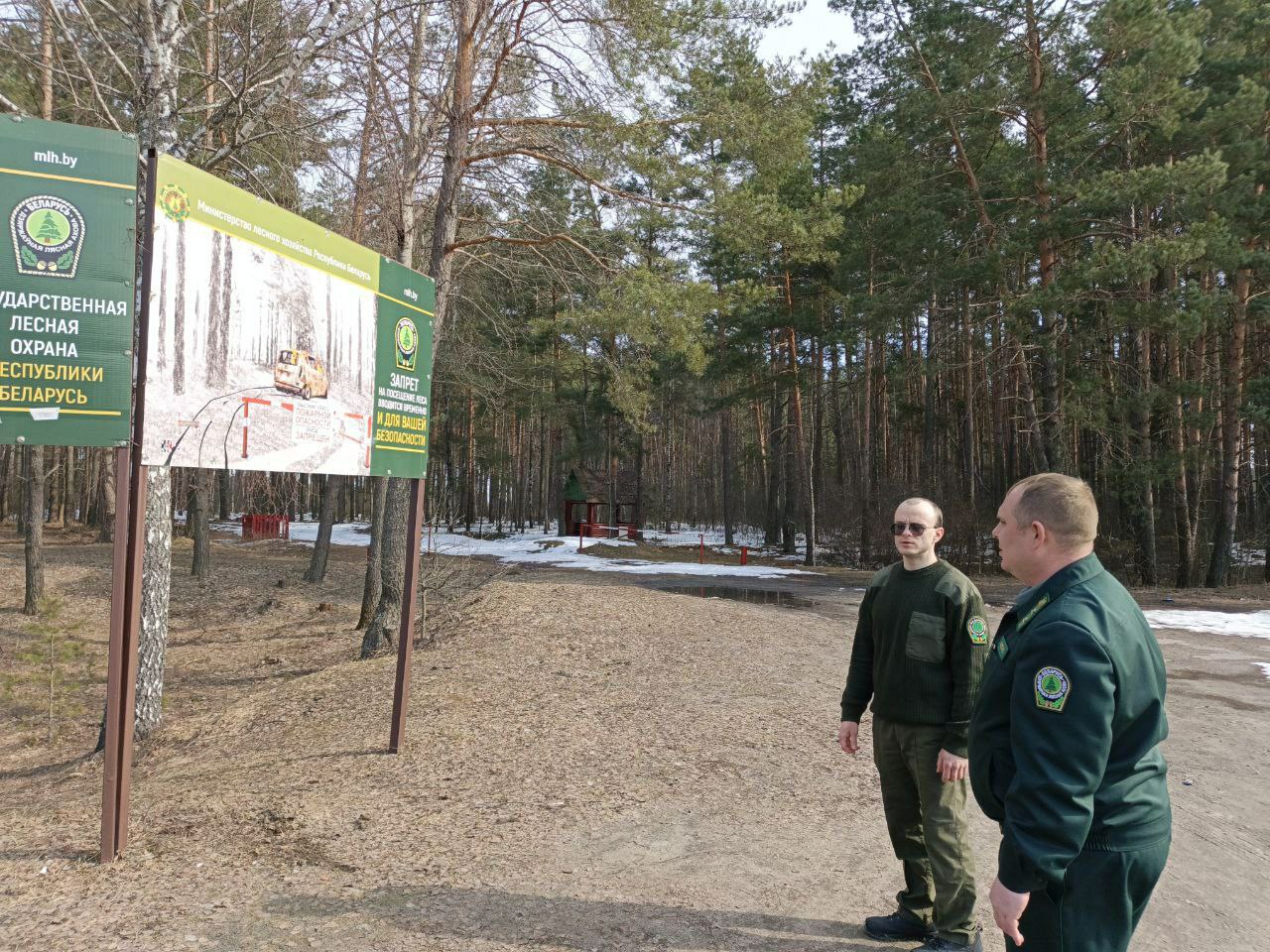 photo 2026 03 11 18 31 23