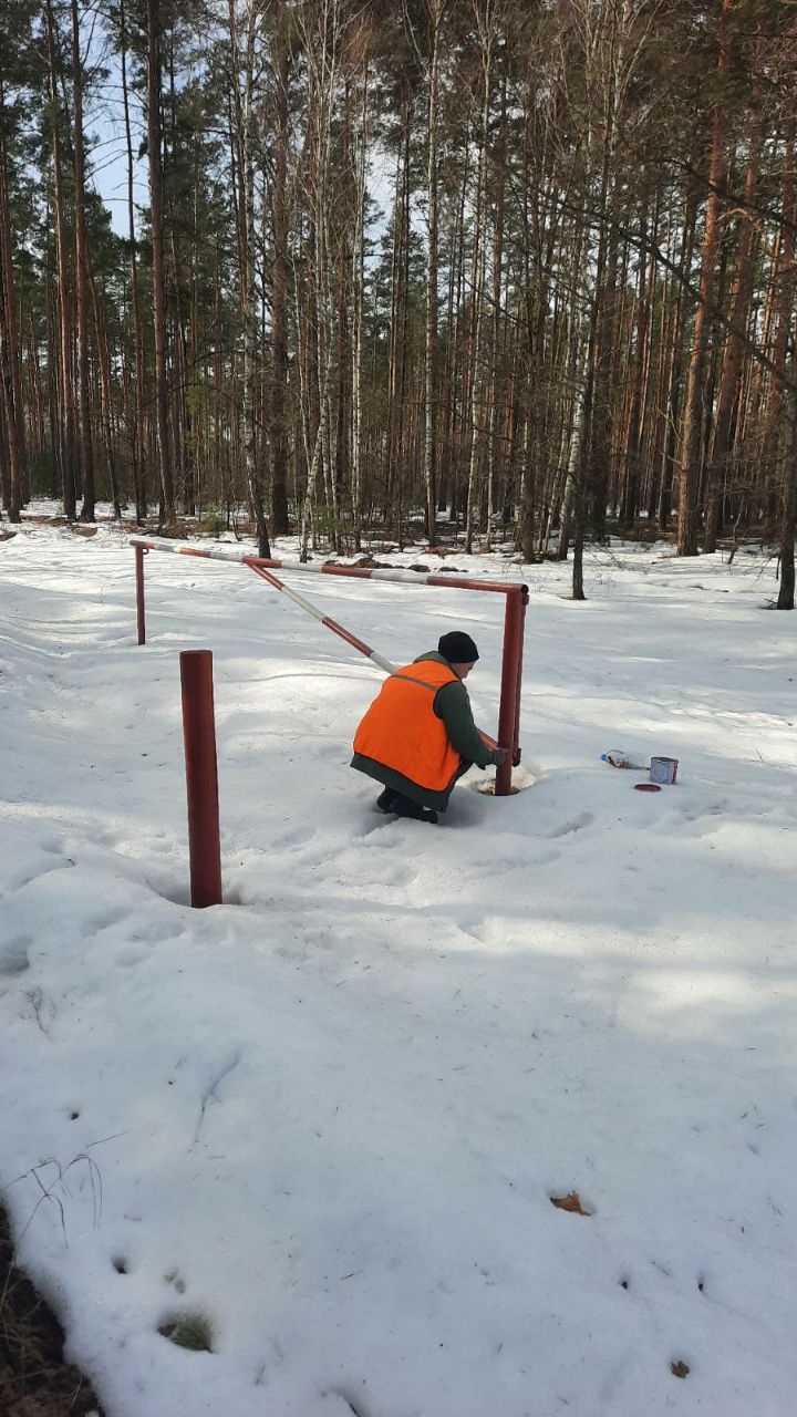 photo 2026 03 12 19 28 02