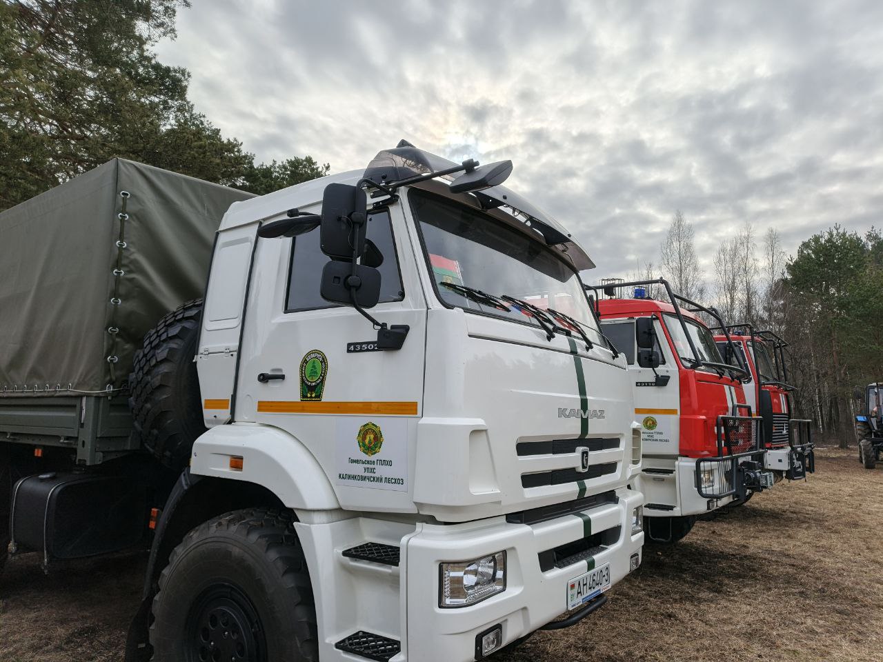 photo 2026 03 19 17 00 55