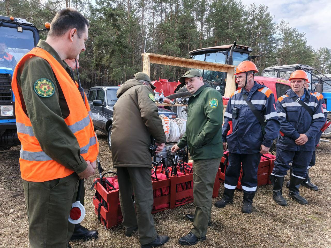 photo 2026 03 19 18 03 39