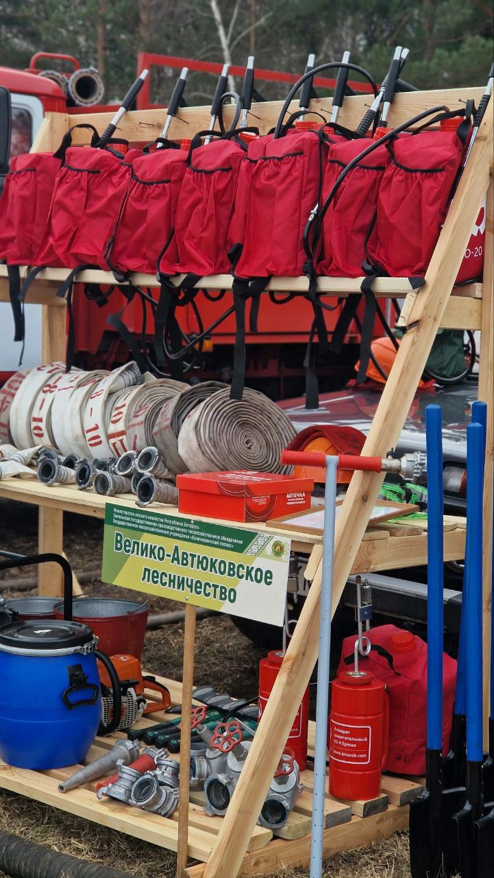 photo 2026 03 19 18 03 47