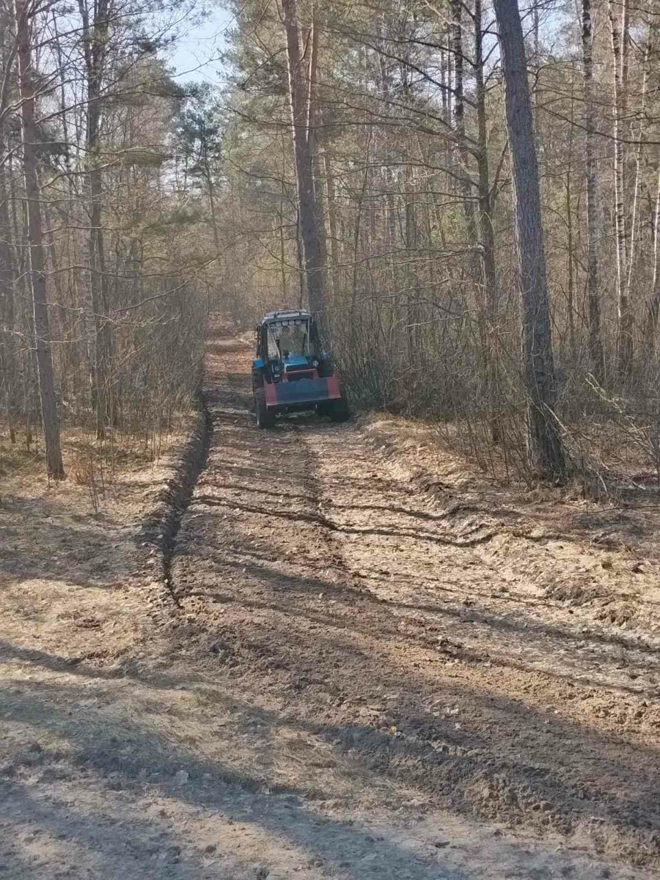 photo 2026 03 23 14 31 50