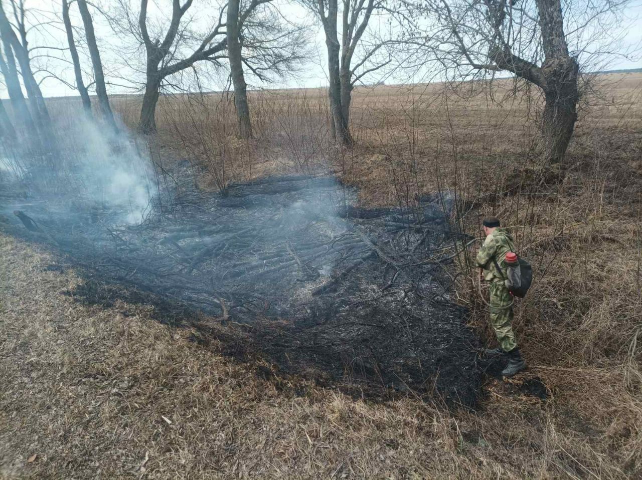 photo 2026 03 25 08 26 19