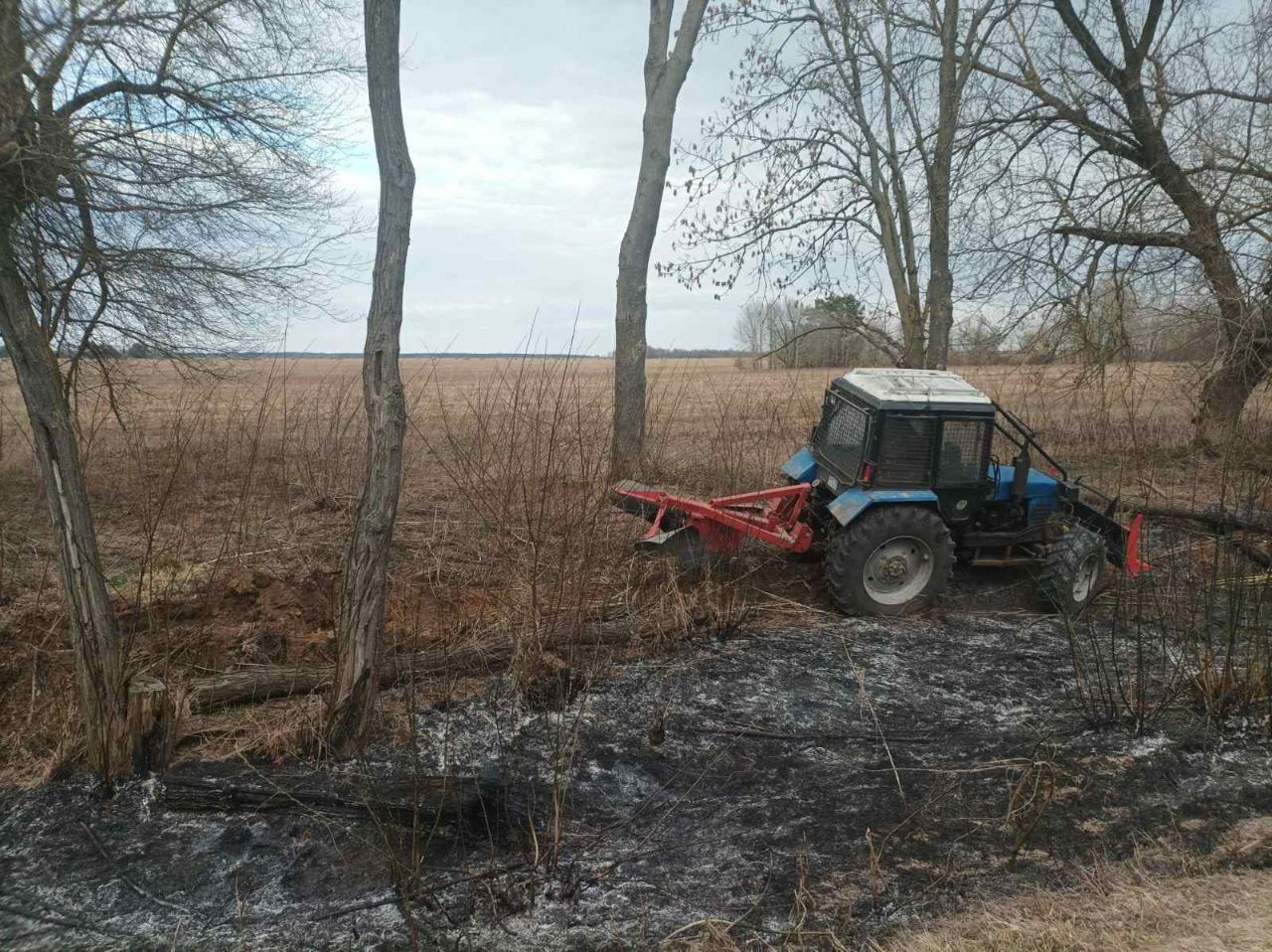 photo 2026 03 25 08 26 22