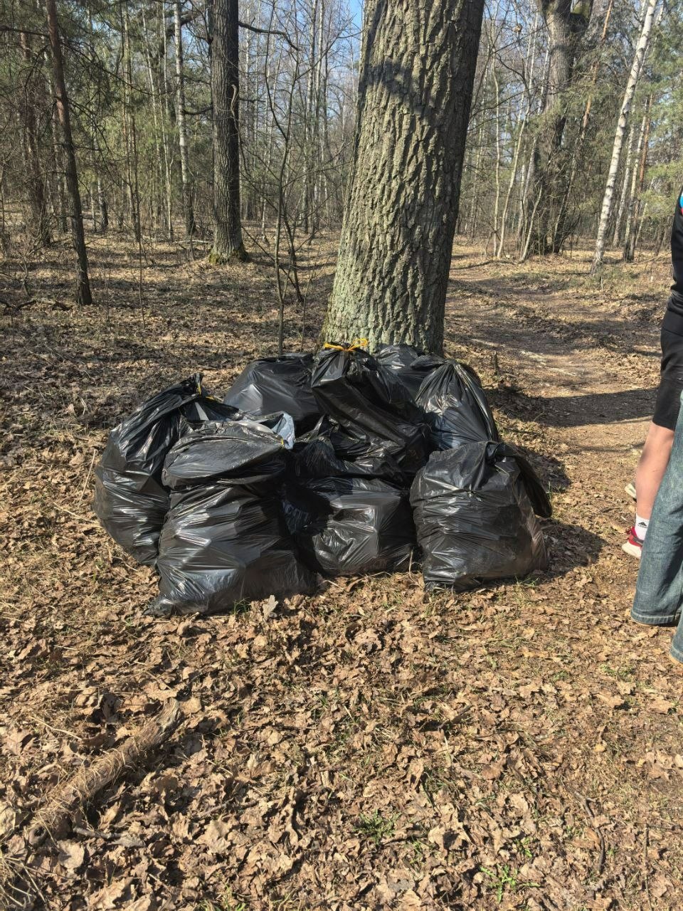 photo 2026 03 25 16 36 09