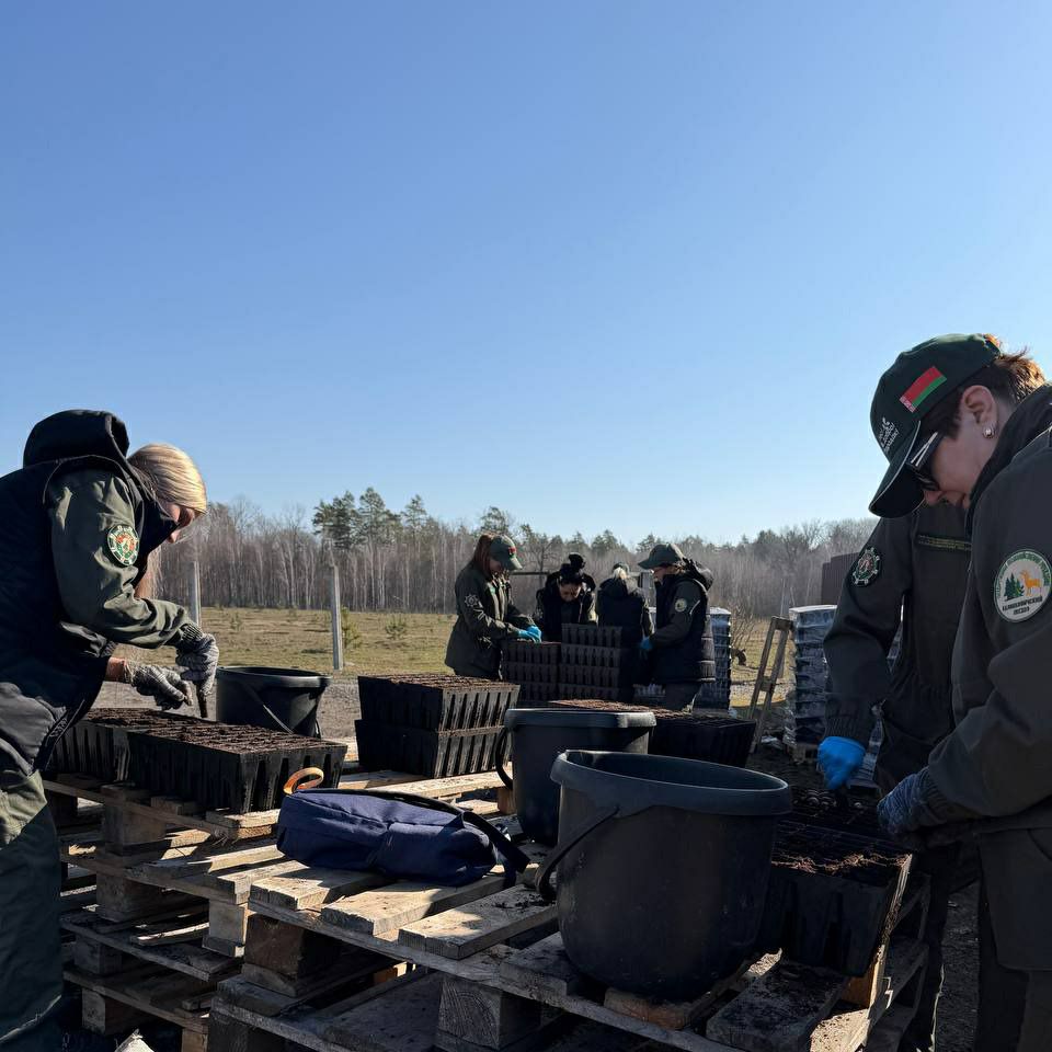 photo 2026 03 28 15 53 33