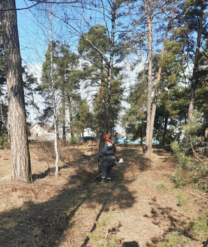 photo 2026 03 28 15 54 01