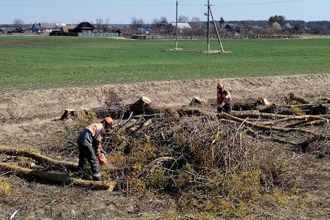 photo 2026 03 28 15 54 09