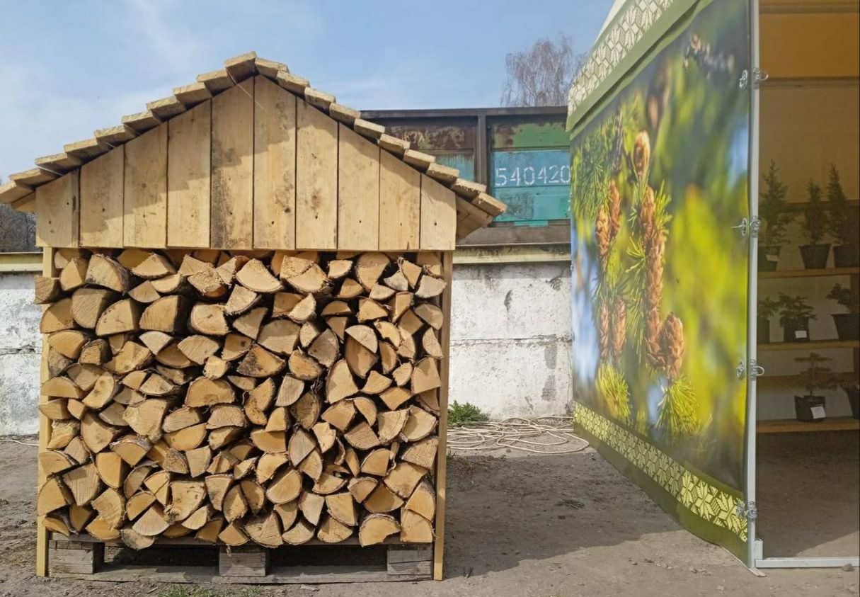 photo 2026 04 02 09 06 54