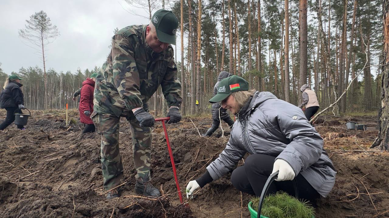 photo 2026 04 20 09 07 47