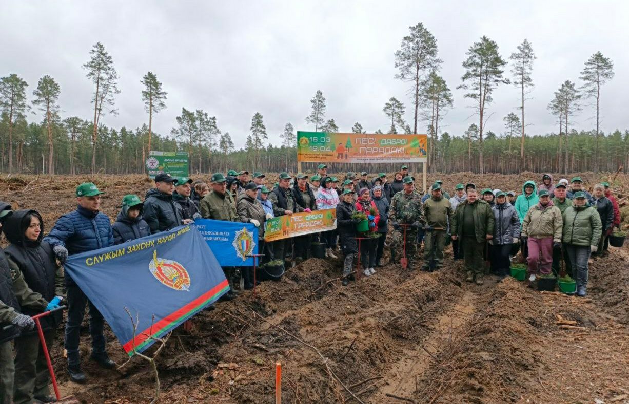 photo 2026 04 20 09 08 13