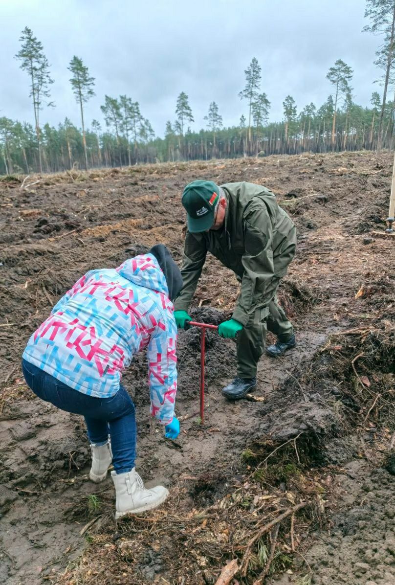 photo 2026 04 20 09 08 19