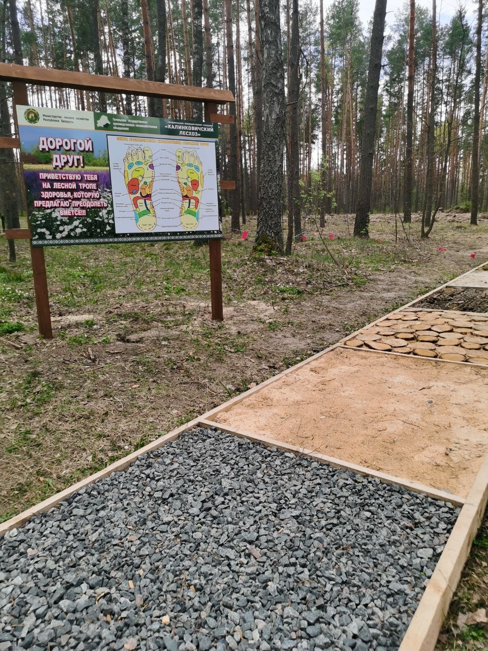 photo 2026 04 25 08 08 09