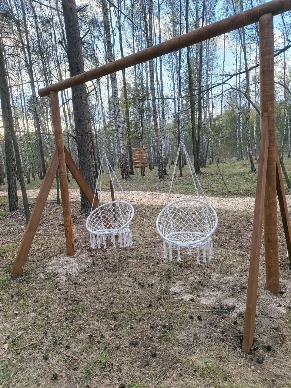 photo 2026 04 27 10 05 27