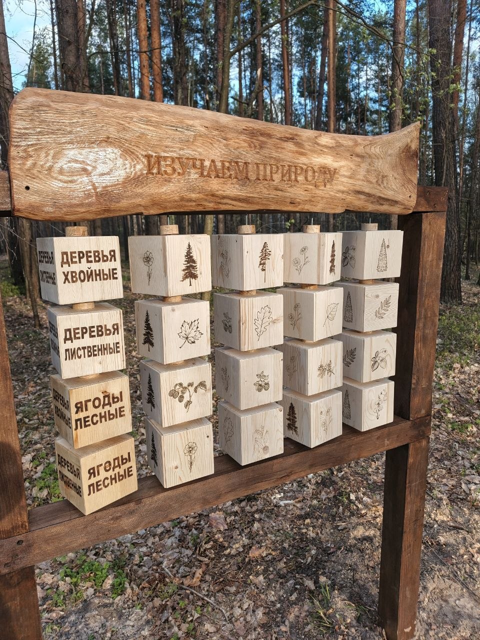 photo 2026 04 27 10 05 50