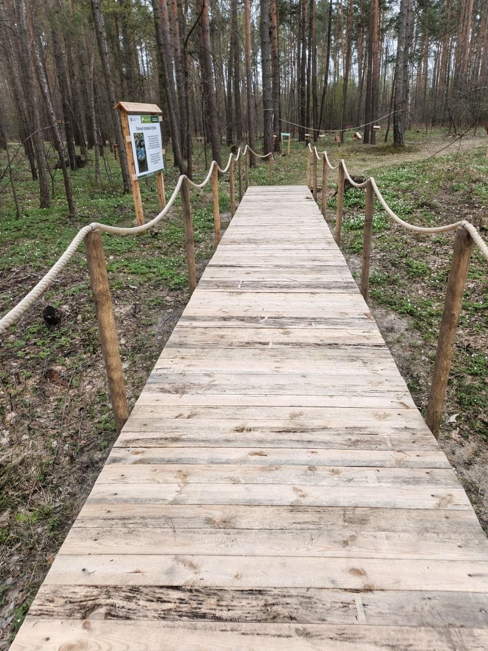 photo 2026 04 27 10 07 57