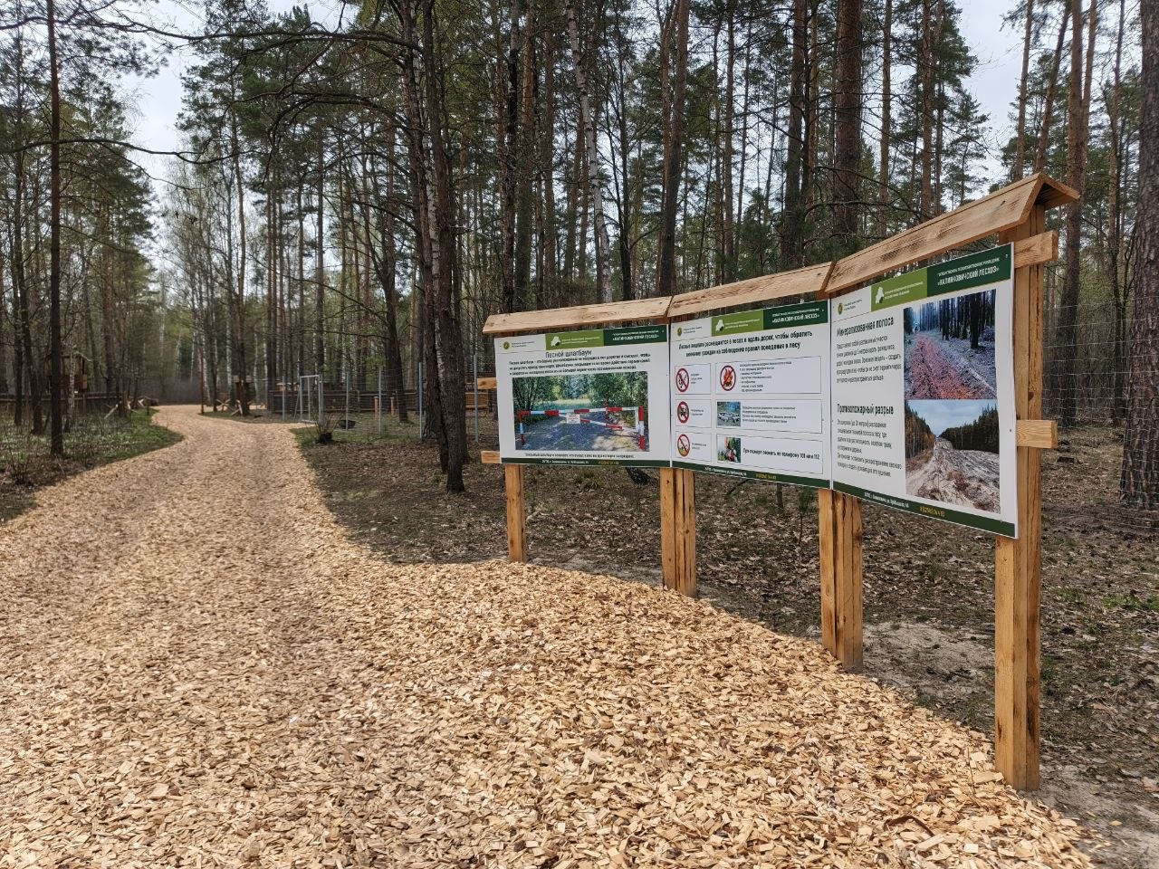 photo 2026 04 27 10 10 19