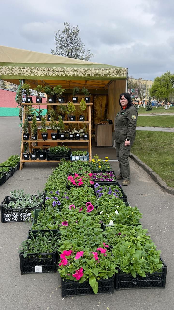 photo 2026 05 04 13 11 17