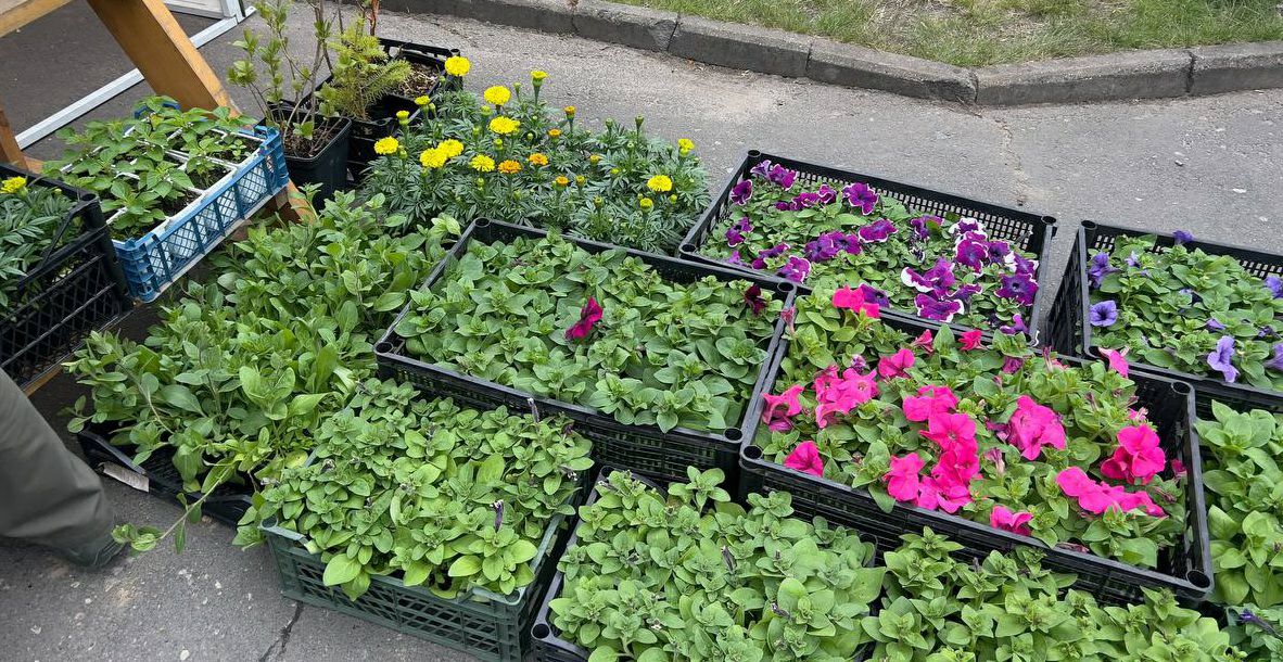 photo 2026 05 04 13 11 20