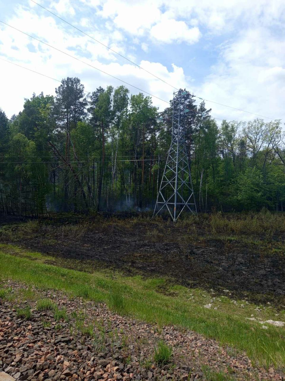 photo 2026 05 25 08 24 39
