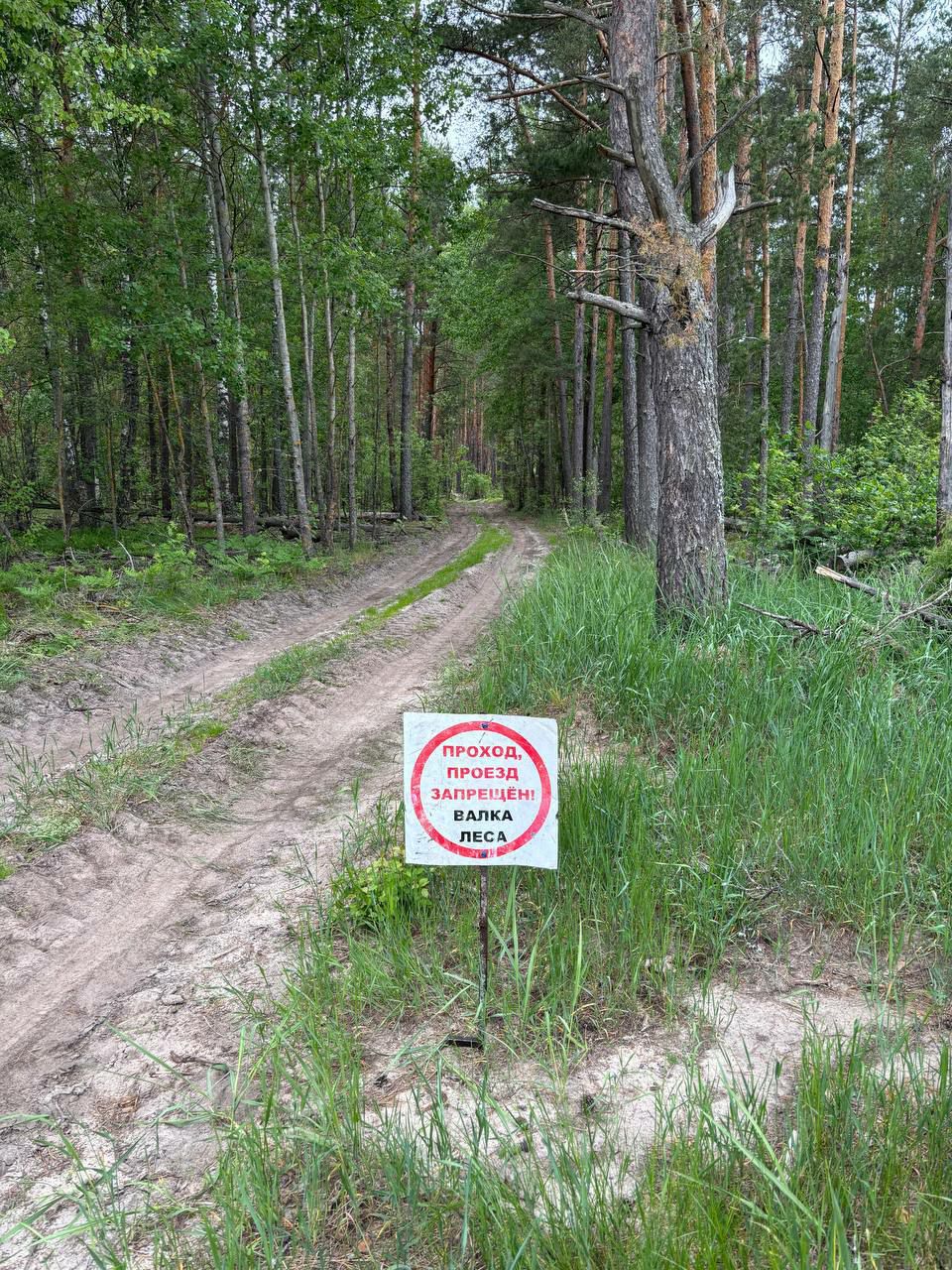 photo 2026 06 08 15 11 58