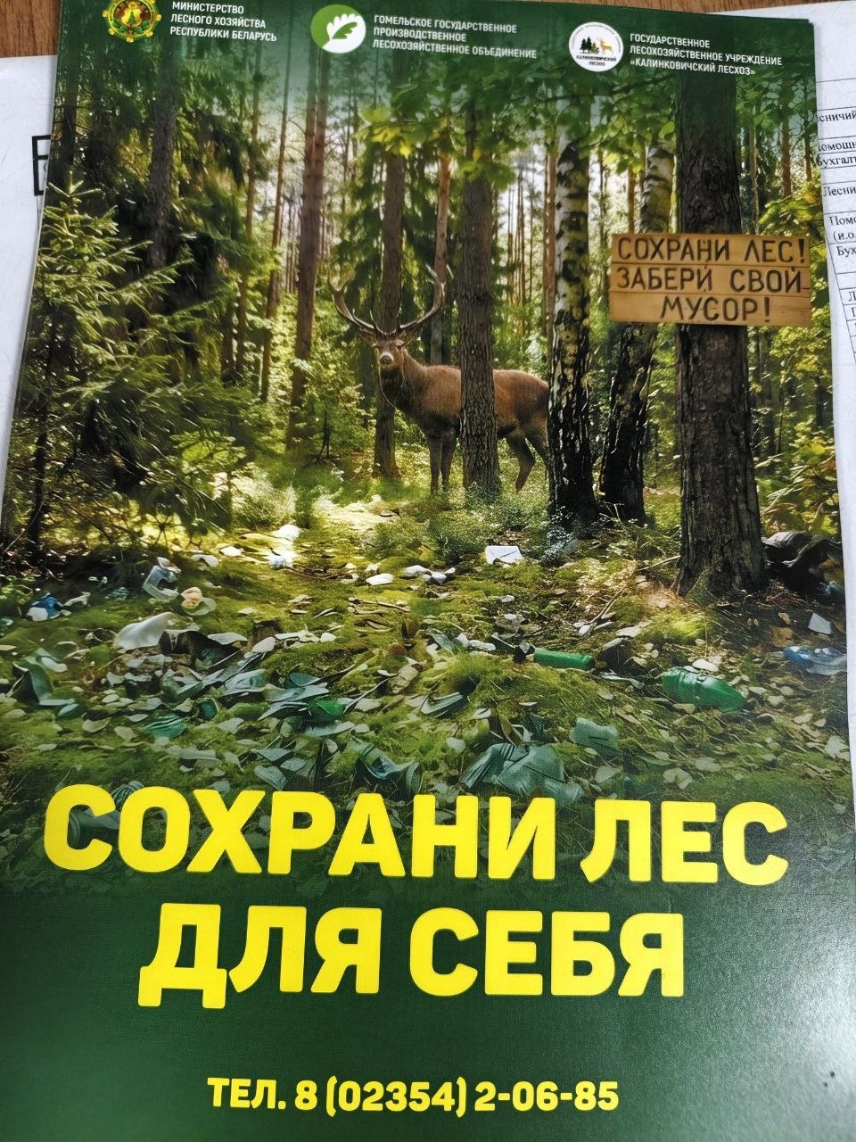 photo 2026 06 12 15 20 27