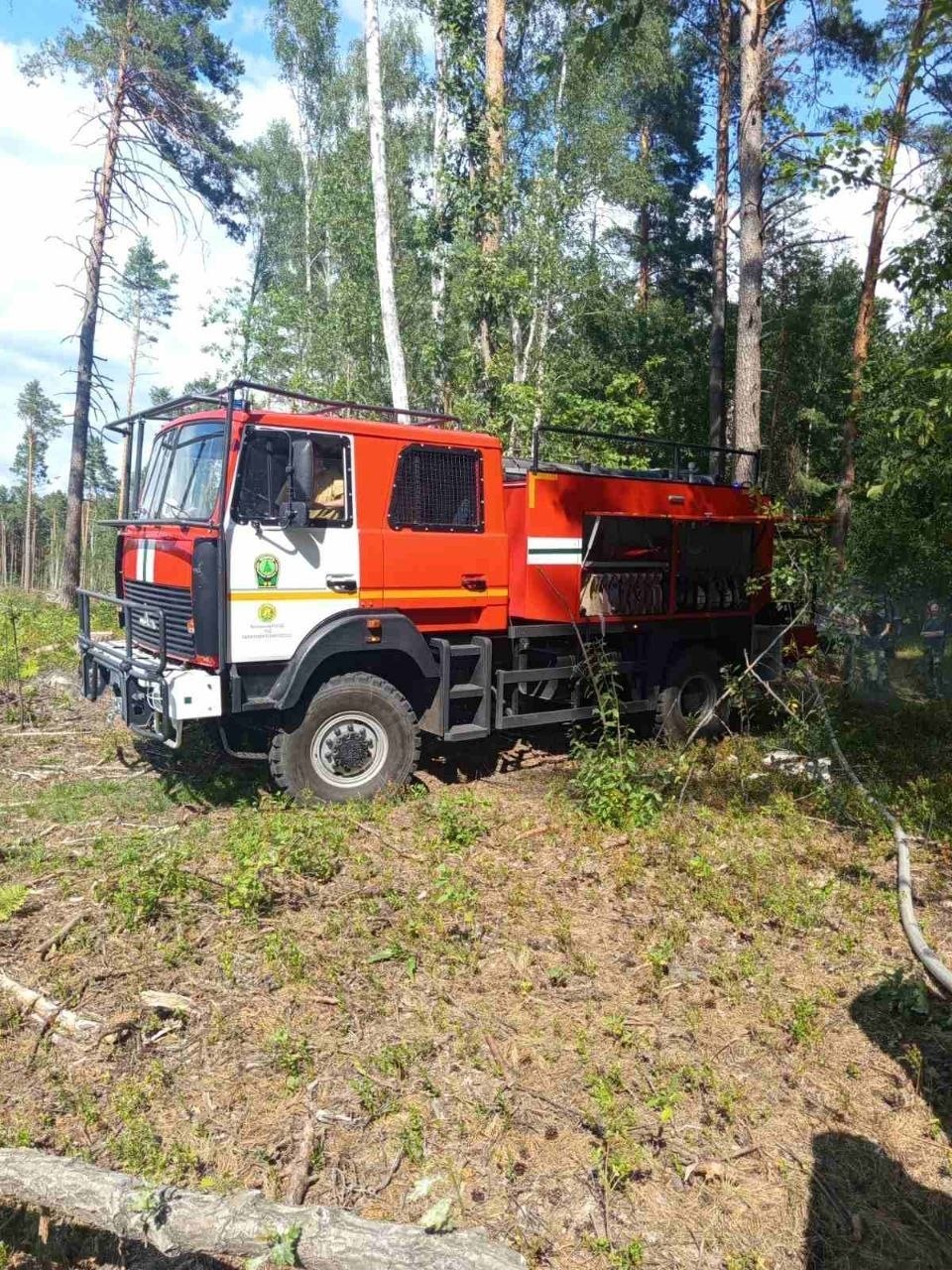 photo 2026 08 05 17 59 51