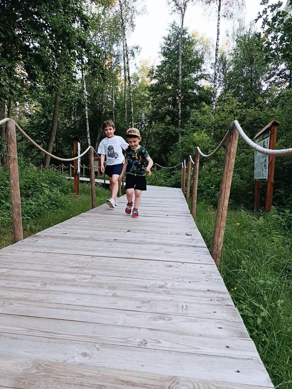 photo 2026 08 15 13 21 32