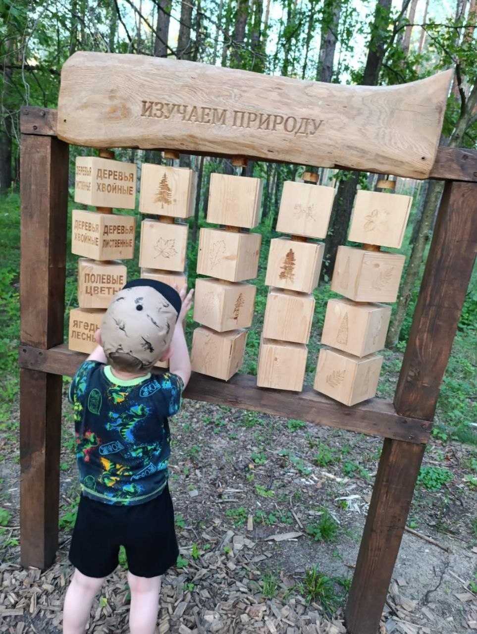photo 2026 08 15 13 21 39