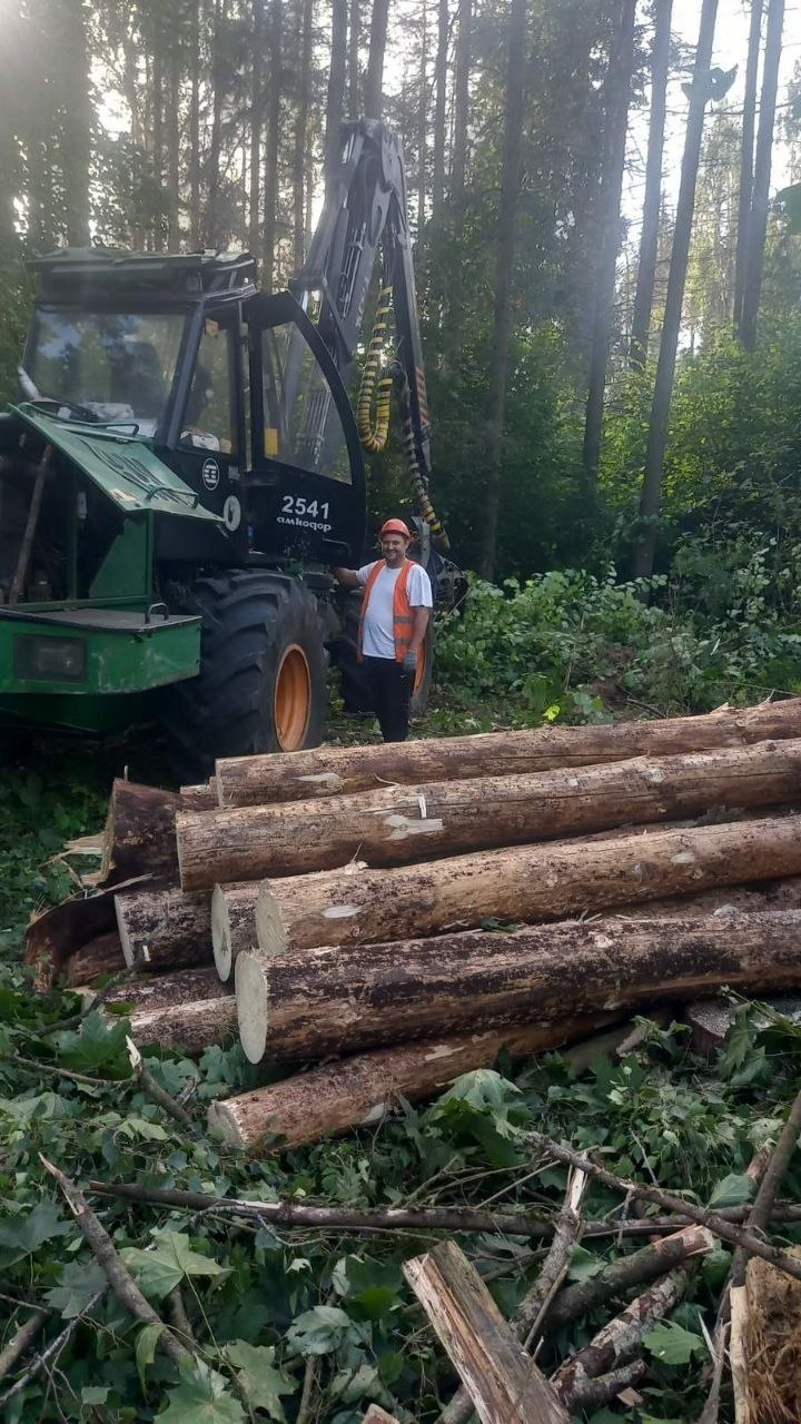 photo 2026 08 31 08 15 15