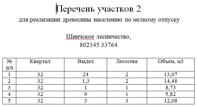 Шиичи 2